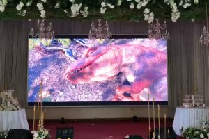 Báo giá màn hình LED 100, 150, 200, 300, 400, 500 Inch chính hãng
