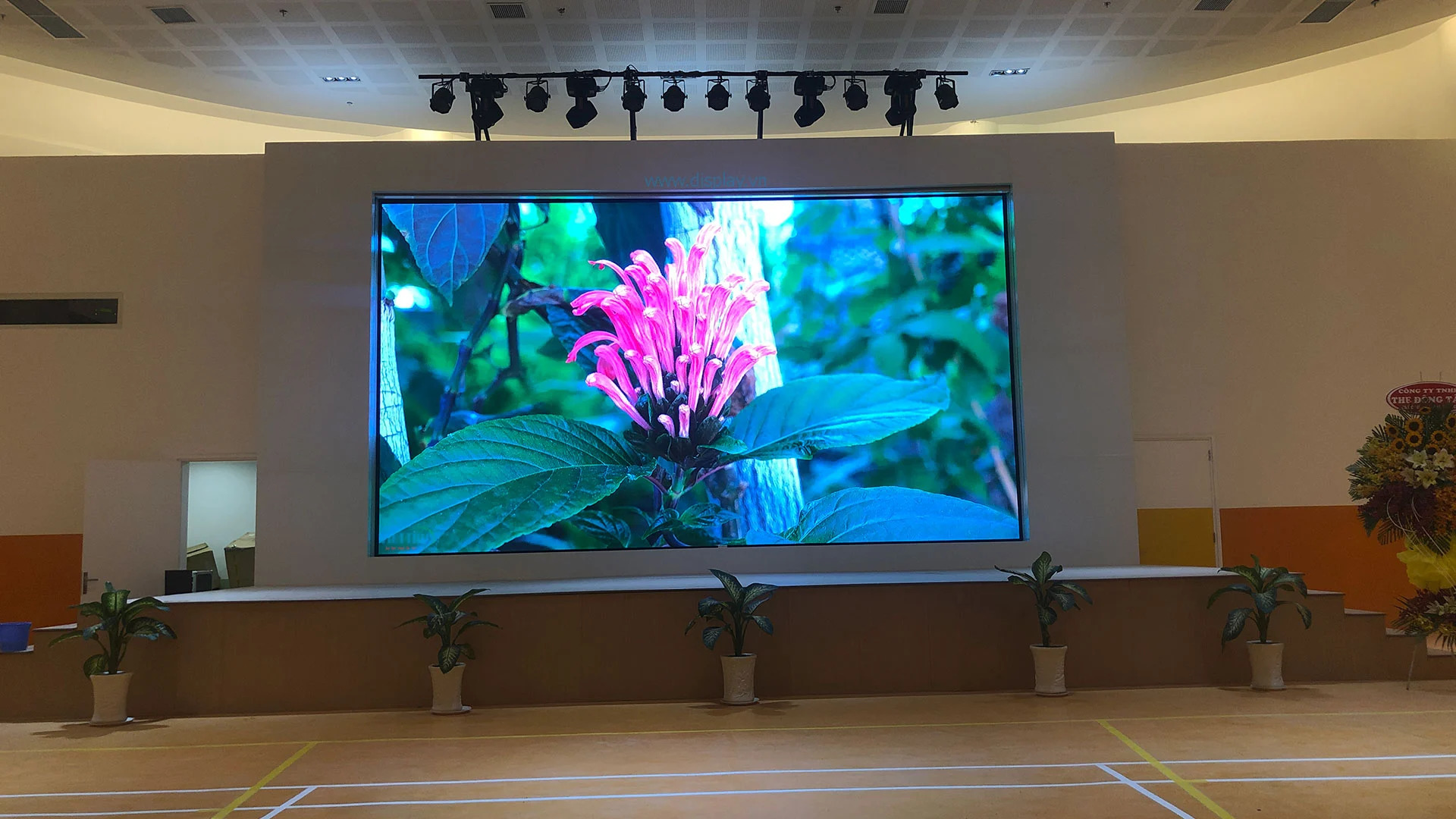 Màn hình LED P3 trong nhà