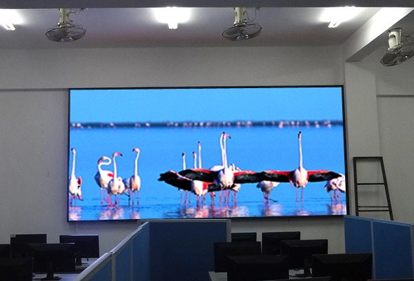 LED P4 Indoor được nhiều doanh nghiệp lựa chọn nhờ chất lượng tốt, giá thành hợp lý
